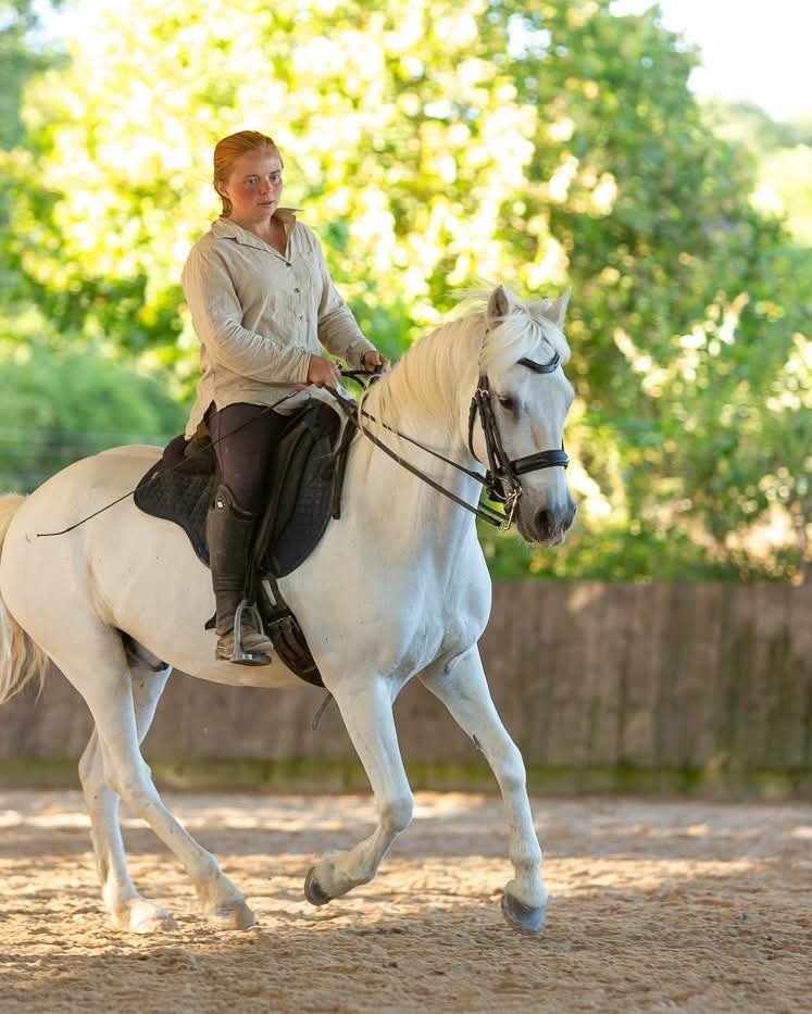 monitrice d'équitation et équitation ethologique 