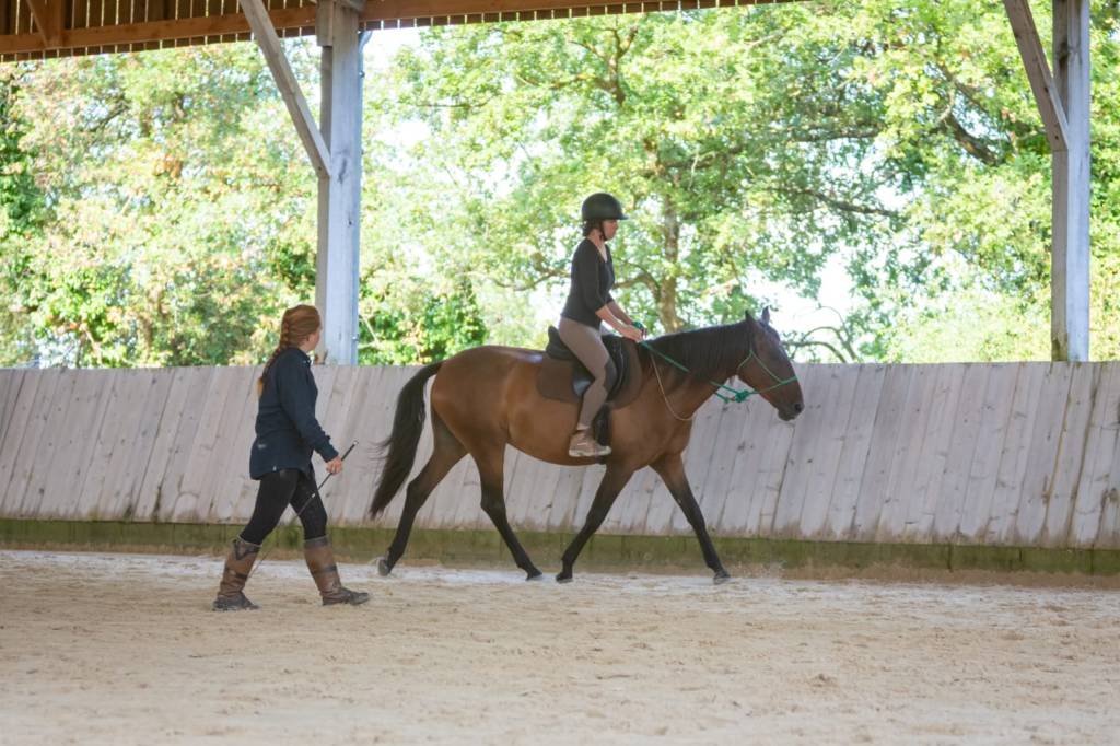 stage d'équitation