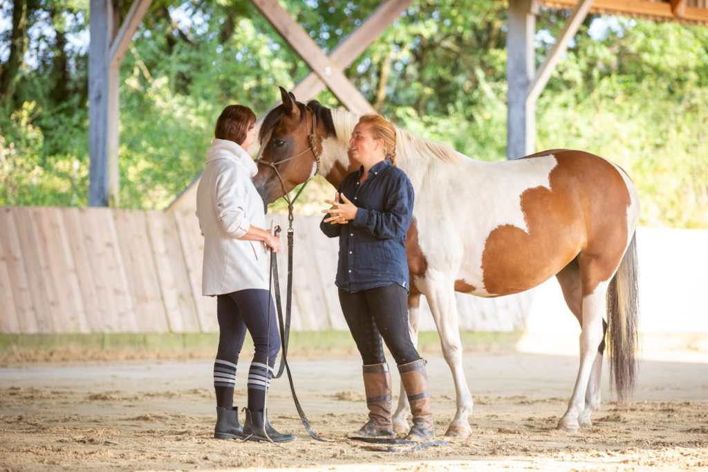 cours d'équitation particulier